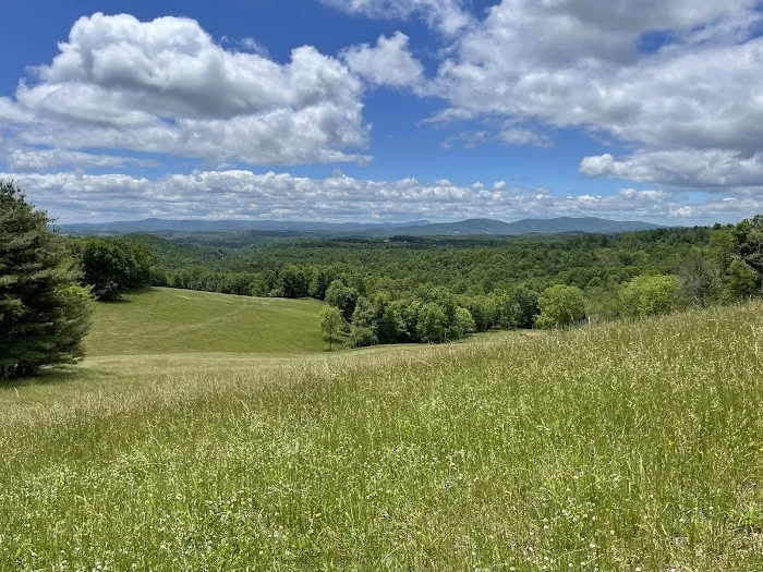 Camp Creek at Little River Farm Picture 4