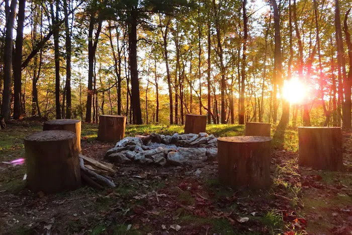 Camp Creek at Little River Farm Picture 1