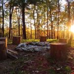 Camp Creek at Little River Farm