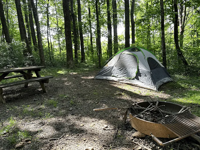 Meadows of Dan Campground & Cabins Picture 9