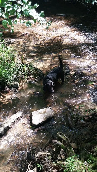 Boley Field Group Campground Picture 5