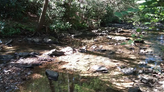 Boley Field Group Campground Picture 2