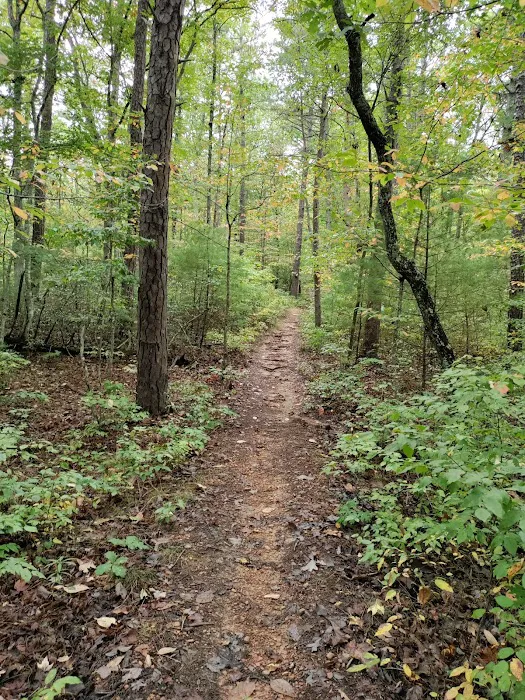 Boley Field Group Campground Picture 6