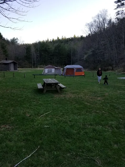 Boley Field Group Campground Picture 1