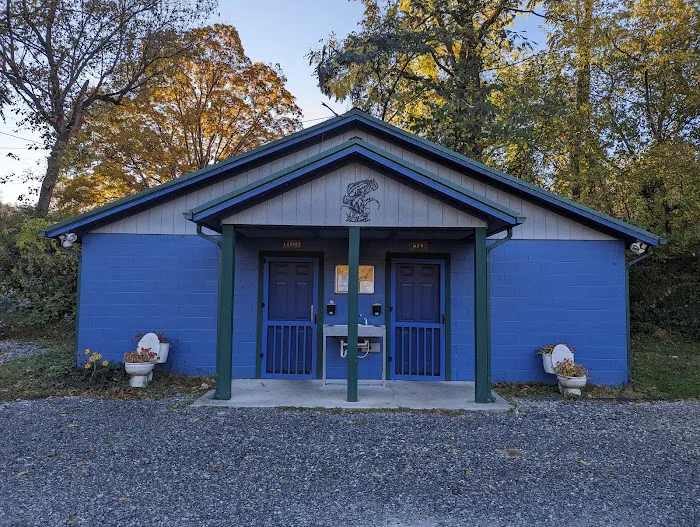 Eggleston Springs Campground Picture 4