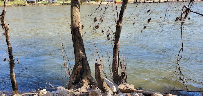 New River Park Campground - Newport Virginia Picture 7