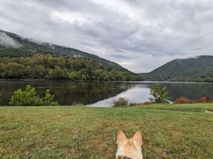 New River Junction Picture 6