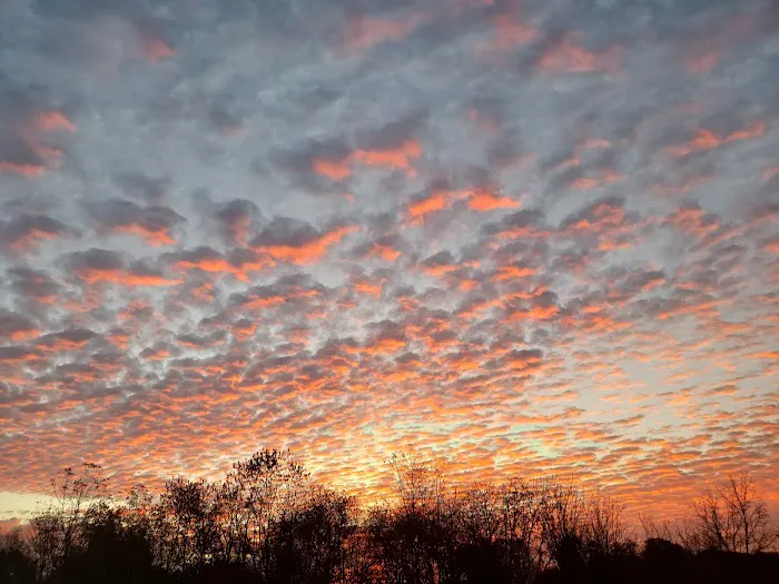 John Henry Campground by Berry’s Campground Picture 1