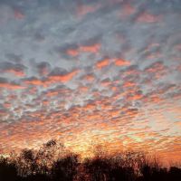 John Henry Campground by Berry’s Campground ico