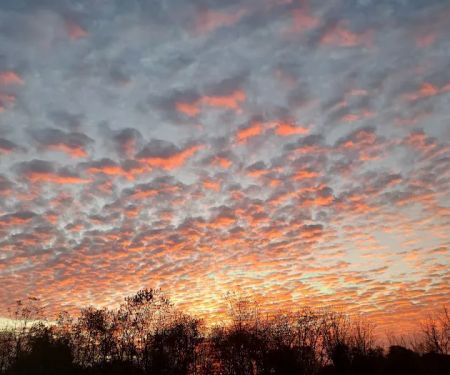 John Henry Campground by Berry’s Campground