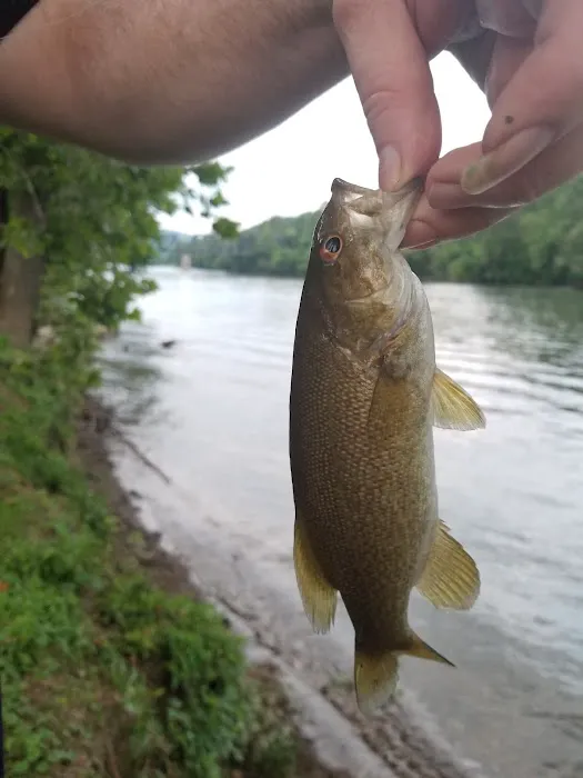 Riverview Campground Picture 2