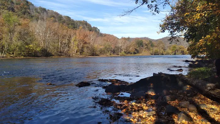 Gentrys Landing Campsite Picture 6