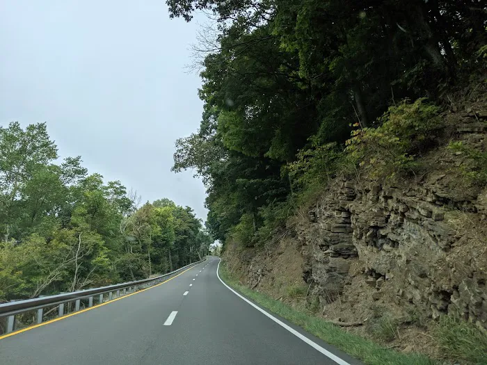 Gentrys Landing Campsite Picture 10