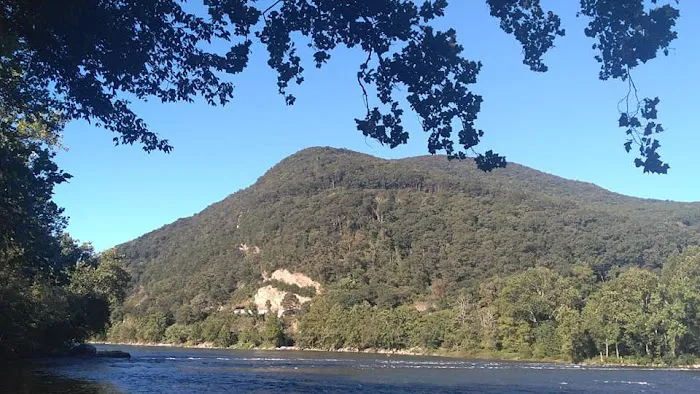 Larry's Landing Campground Picture 1