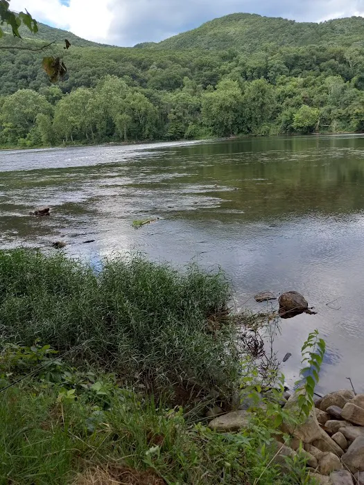 Larry's Landing Campground Picture 9