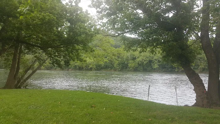 Larry's Landing Campground Picture 8