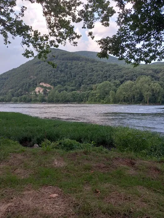 Larry's Landing Campground Picture 10