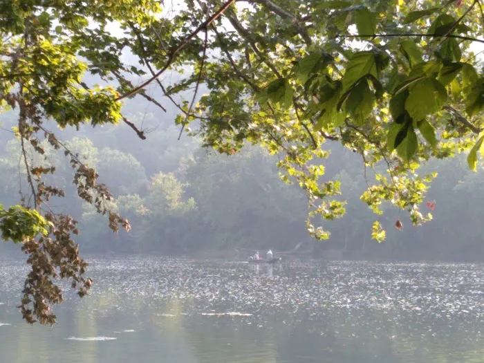 Larry's Landing Campground Picture 3