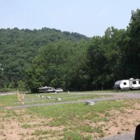 Camp Floppy Fish ico