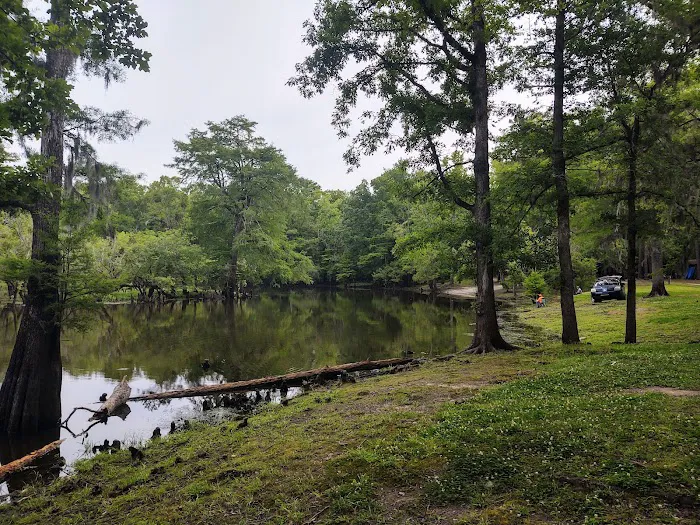 Core Creek Landing Picture 6