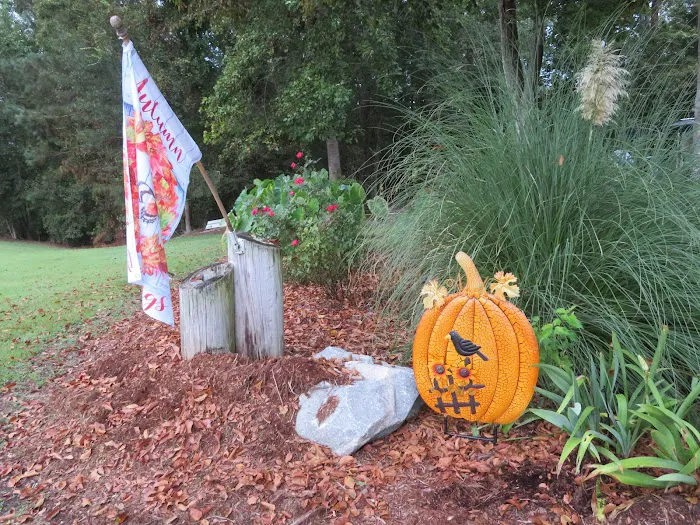 Turkey Quarter Campground & RV Park Picture 2