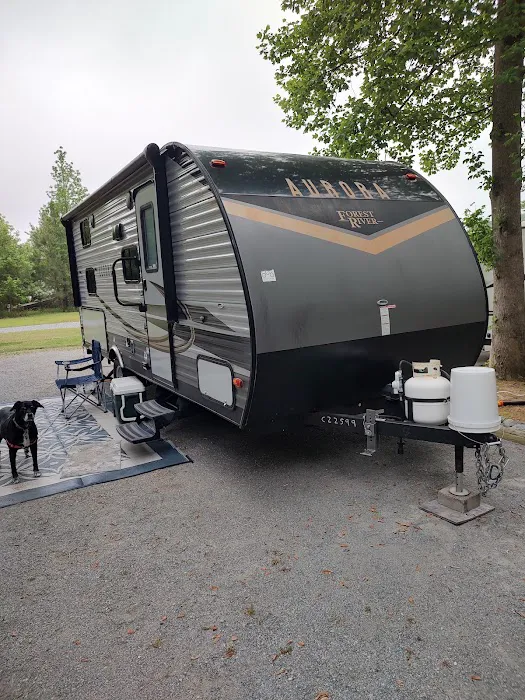 Turkey Quarter Campground & RV Park Picture 8