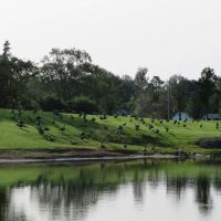 Turkey Quarter Campground & RV Park ico