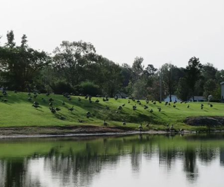 Turkey Quarter Campground & RV Park