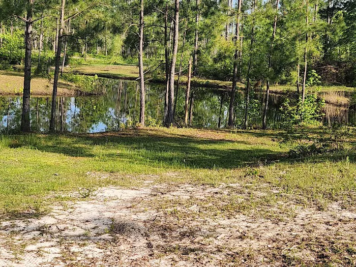 Dixon Landing RV Resort Picture 5