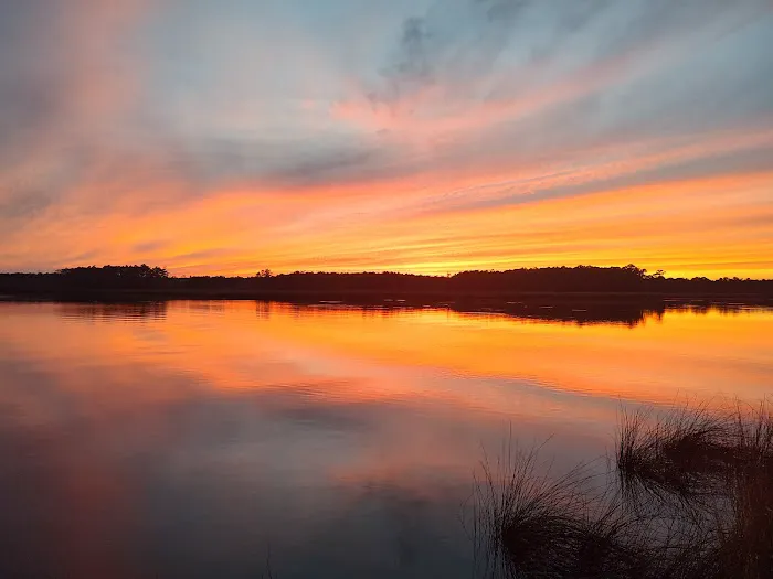 Dixon Landing RV Resort Picture 6