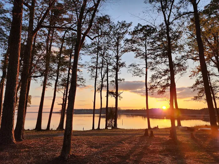 Dixon Landing RV Resort Picture 8