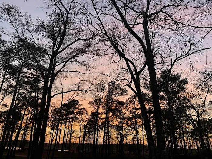 Dixon Landing RV Resort Picture 2