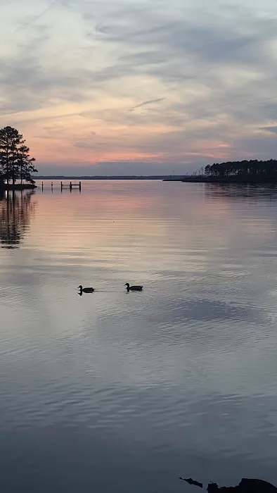 Dixon Landing RV Resort Picture 1