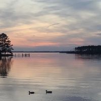 Dixon Landing RV Resort ico