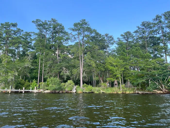 Mystic Pines Sanctuary Picture 7