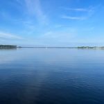 Mystic Pines Sanctuary