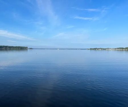 Mystic Pines Sanctuary