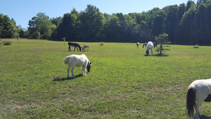 Berlin Heights Holiday Park Picture 3