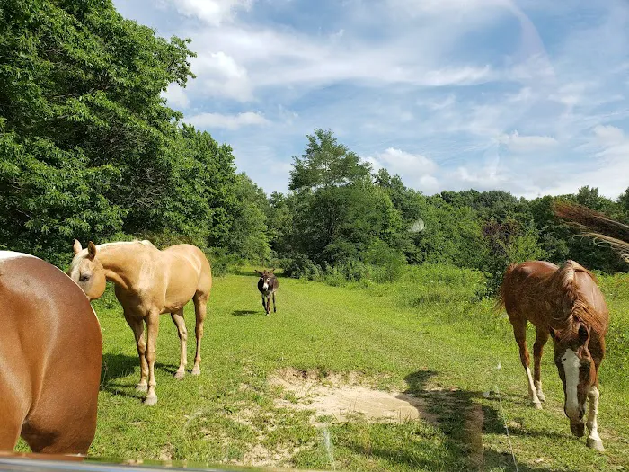 Berlin Heights Holiday Park Picture 1