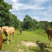 Berlin Heights Holiday Park ico