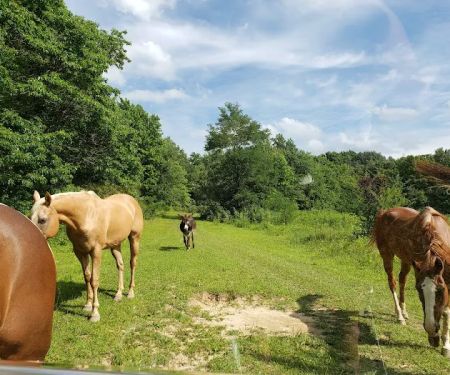 Berlin Heights Holiday Park