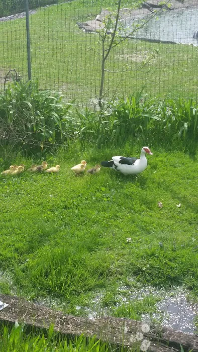 Berlin Heights Holiday Park Picture 9