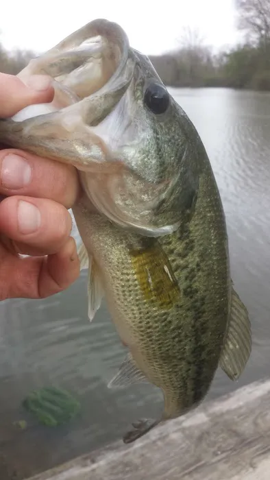 Indian Trail Campground Picture 10