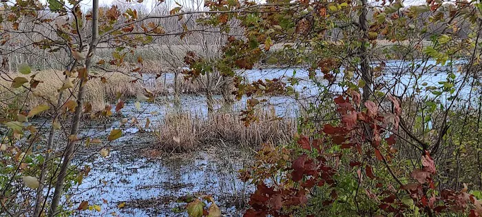 Huron River Valley - Sandusky Resort, Marina And Campground Picture 3