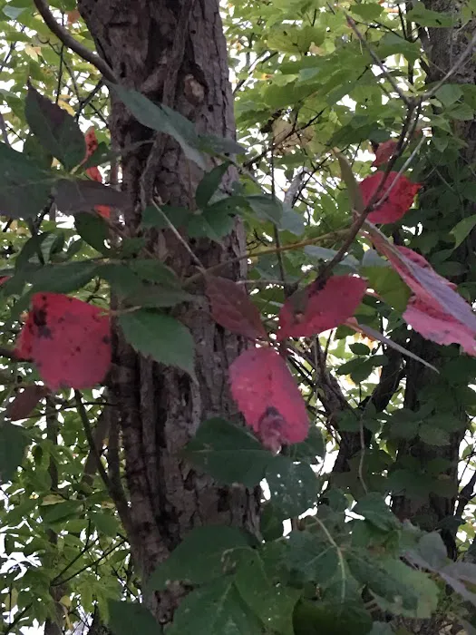 Huron River Valley - Sandusky Resort, Marina And Campground Picture 4