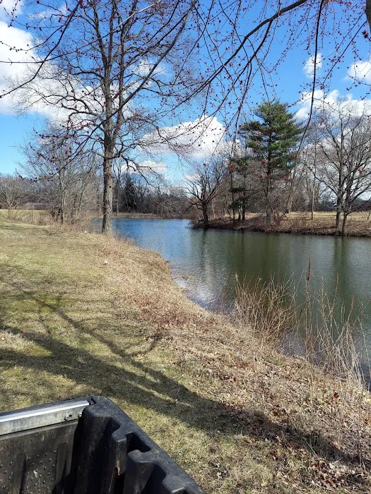 Madewell Pine Picture 1