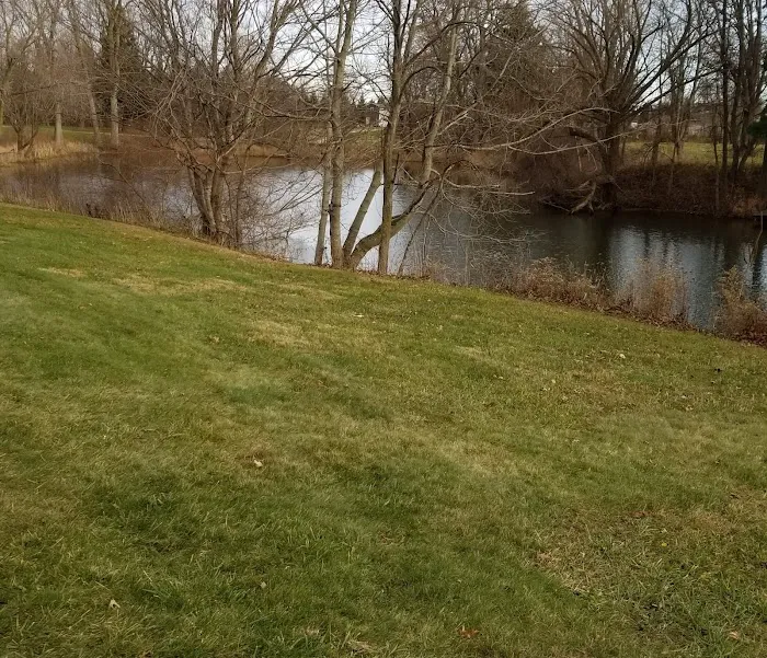 Madewell Pine Picture 2