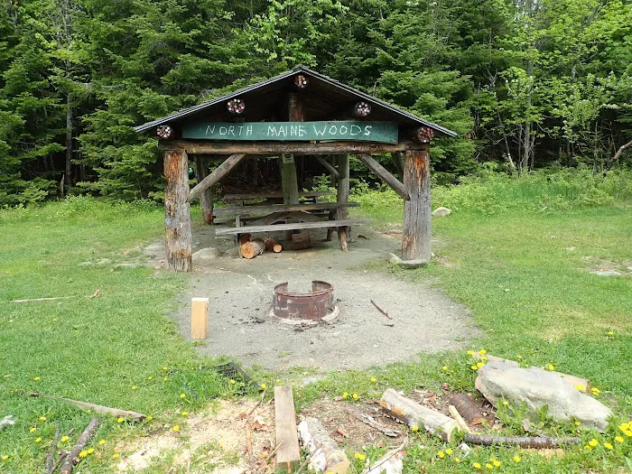 Ross Lake Campsite Picture 1