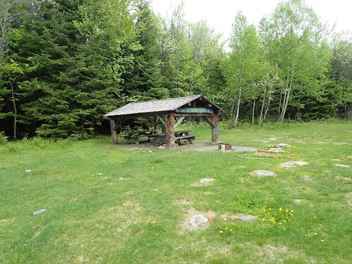 Ross Lake Campsite Picture 2