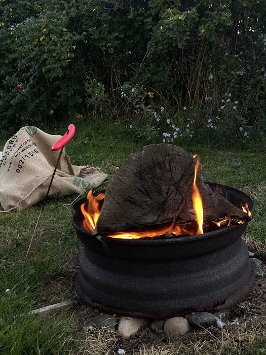 Jonesport Campground Picture 5